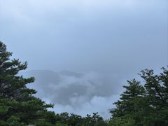 -牛背梁国家森林公园