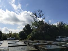 -上海崇明金茂凯悦酒店