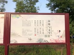 -扁鹊湖阿尔卡迪亚国际度假酒店