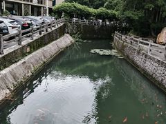 -广东温泉宾馆