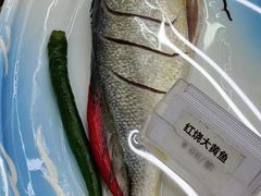 -大众海鲜(巨龙北路店)