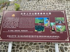 -北京上方山国家森林公园