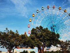 -巨鹏飞梦幻海岸