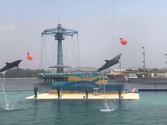 -秦皇岛乐岛海洋王国