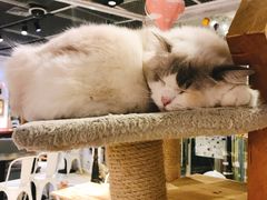 -小时光咖啡馆(开森度假森林店)
