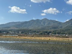 -腾冲北海湿地