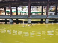 -团结湖公园