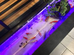 -玉善烧烤串城(长春总店)