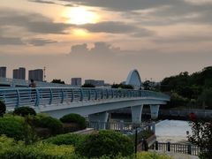 -五缘湾湿地公园