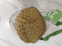 -东方鼎信农副产品交易中心