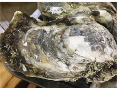 -大富蚝乌东哥饭店·石锅鱼杂·柠檬鸭(革新路店)