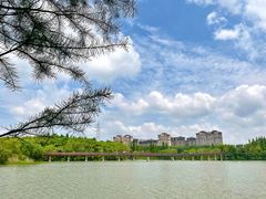 -昆山城市生态森林公园