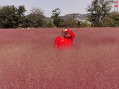 -羊亭河湿地公园