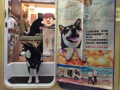-赛马场美食城