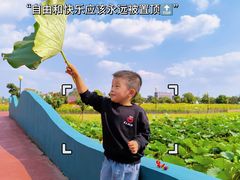 -荷兰花海