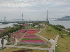 -芒洲湿地公园