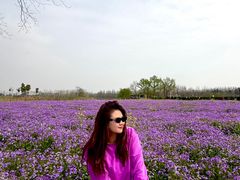 -合肥滨湖国家森林公园