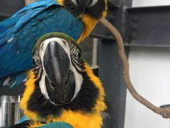 -元生咖啡(陶溪川店)