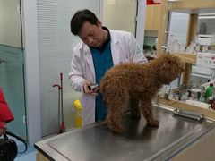 -瑞派·关忠动物医院·异宠专科·犬猫肿瘤·皮肤专科(望京店)