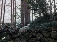 -杭州上天竺法喜讲寺