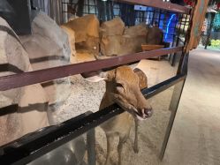 -酷嗒动物文化乐园(cutezoo西溪乐天城店)