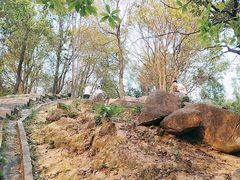 -火炉山森林公园