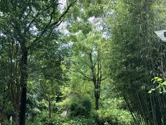 -鱼凫人家
