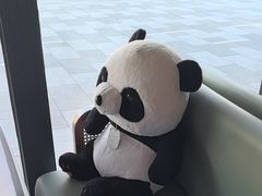 -眉州东坡(翠微印象城店)