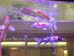 -大江户·温泉洗浴(浑南店)