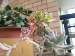 android_upload_pic-万达影城(江桥万达广场IMAX店)