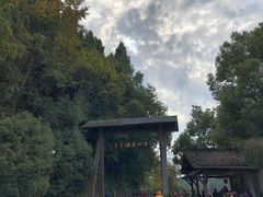 -千岛湖龙川湾