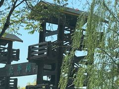 -绿堤公园