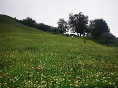 -新疆那拉提国家旅游度假区