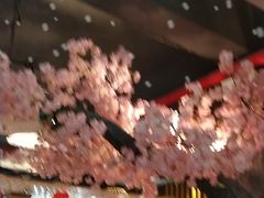 -渝厨生态火锅(合川区府店)
