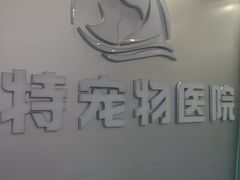 -博特宠物医院24h犬猫全科.骨科·异宠