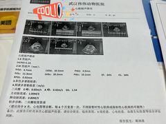 -伟伟宠物医院·CT影像中心·瑞派犬猫综合性门诊(汉口总院)
