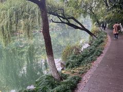 -浙江大学医学院附属第二医院(解放路院区)