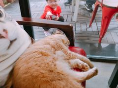 -咖法森林·咖啡  酒吧(天河店)