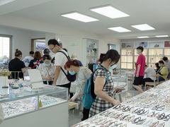 -潘多拉眼镜·蔡司依视路明月(潘家园店)