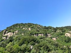 -鲁山国家森林公园