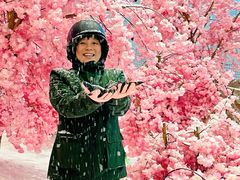 -广州热雪奇迹