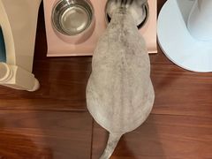 -宠颐生中康贝怡动物医院