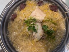 -邵年鸽(杨庄店)