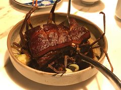 -桂满陇天书(南京德基旗舰店)