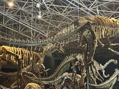 -世界恐龙谷景区