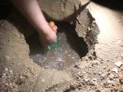 -碧桂园十里银滩