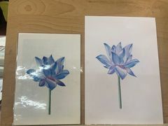 -八哥美术·成人美术画室(总校区)