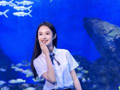 -海合安武汉极地海洋公园