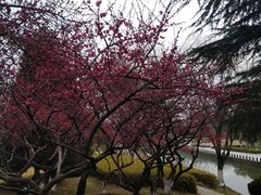 -白塘生态植物园