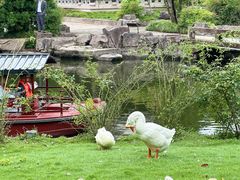 -台州府城(东湖)